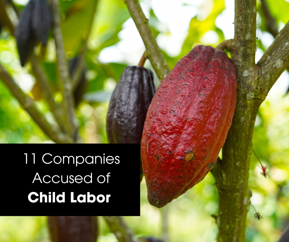 11 “Sustainably-Minded” Brands That Were Caught Relying On Child Labor